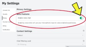 How to get voice chat on roblox